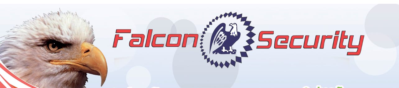 Falcon Security CFTV