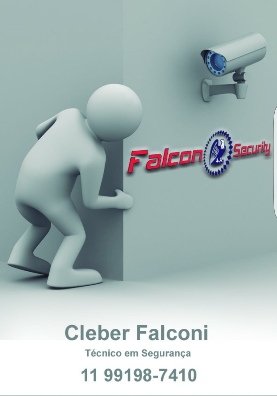 Falcon Security